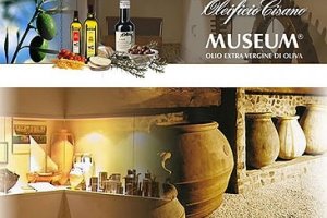 Museo dell'Olio d'Oliva 