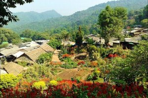 Doi Pui Hmong village 