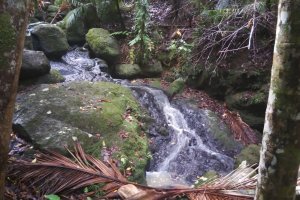 Cascades Waterfall - Waiheke